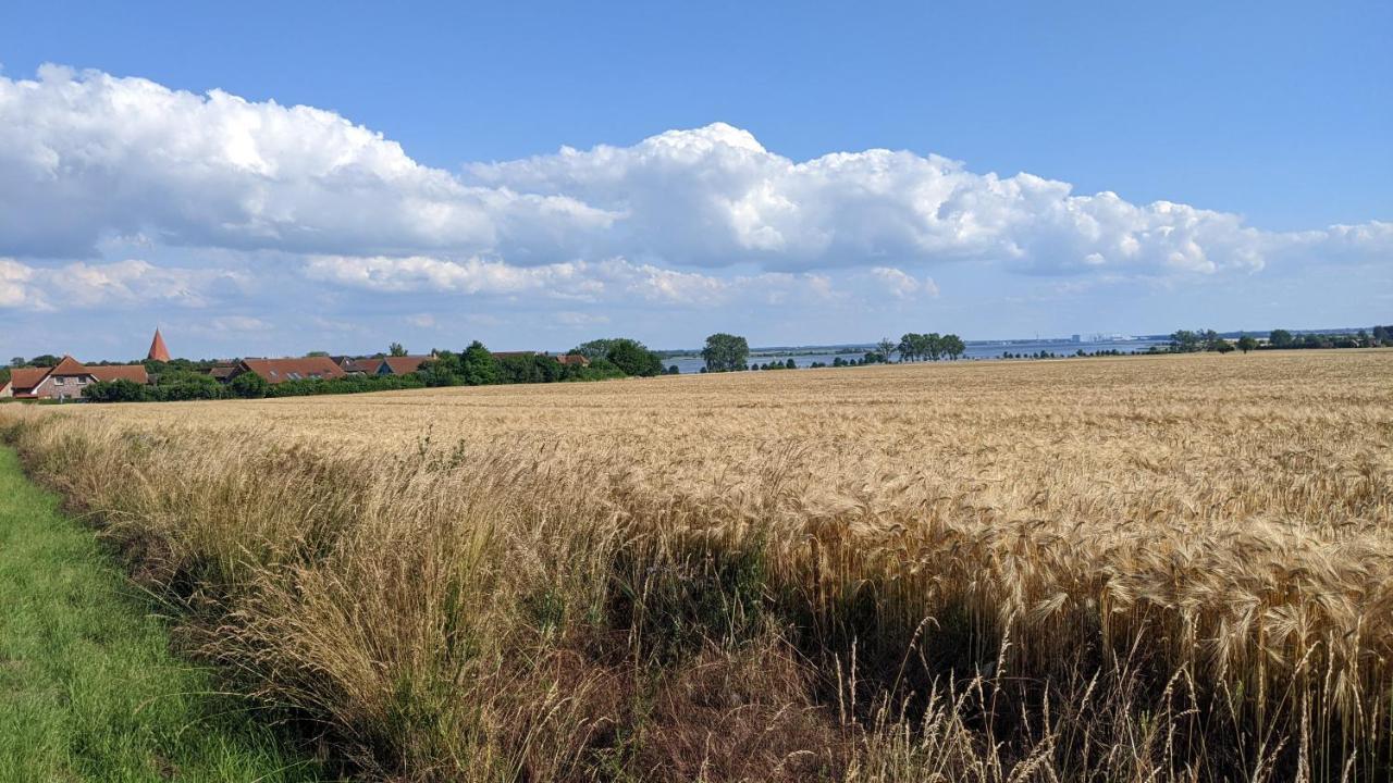 Apartmán Ferien Auf Der Insel Poel Kirchdorf  Exteriér fotografie